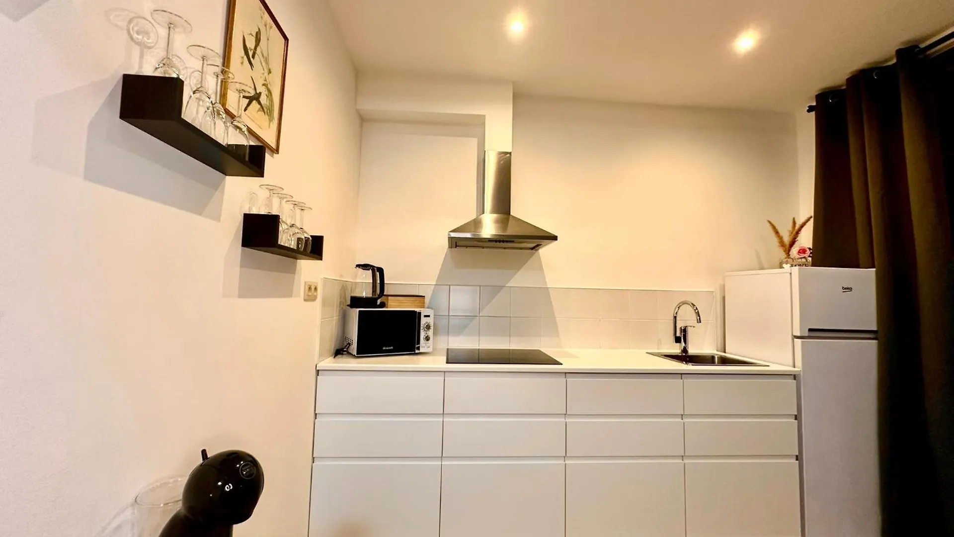 Luxury Suites Centrum By Rikas Hotels Anversa Belgio